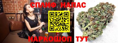 марки nbome Заводоуковск