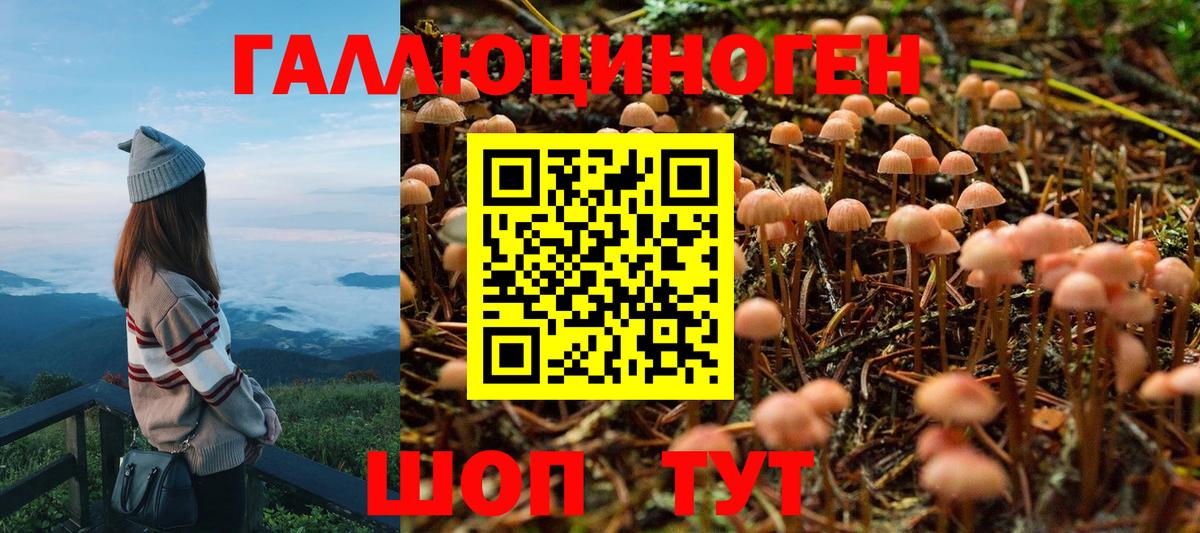 Кстово  продажа наркотиков  Вход с VPN  Псилоцибиновые грибы мухоморы  Галлюциногенные грибы Psilocybine cubensis 