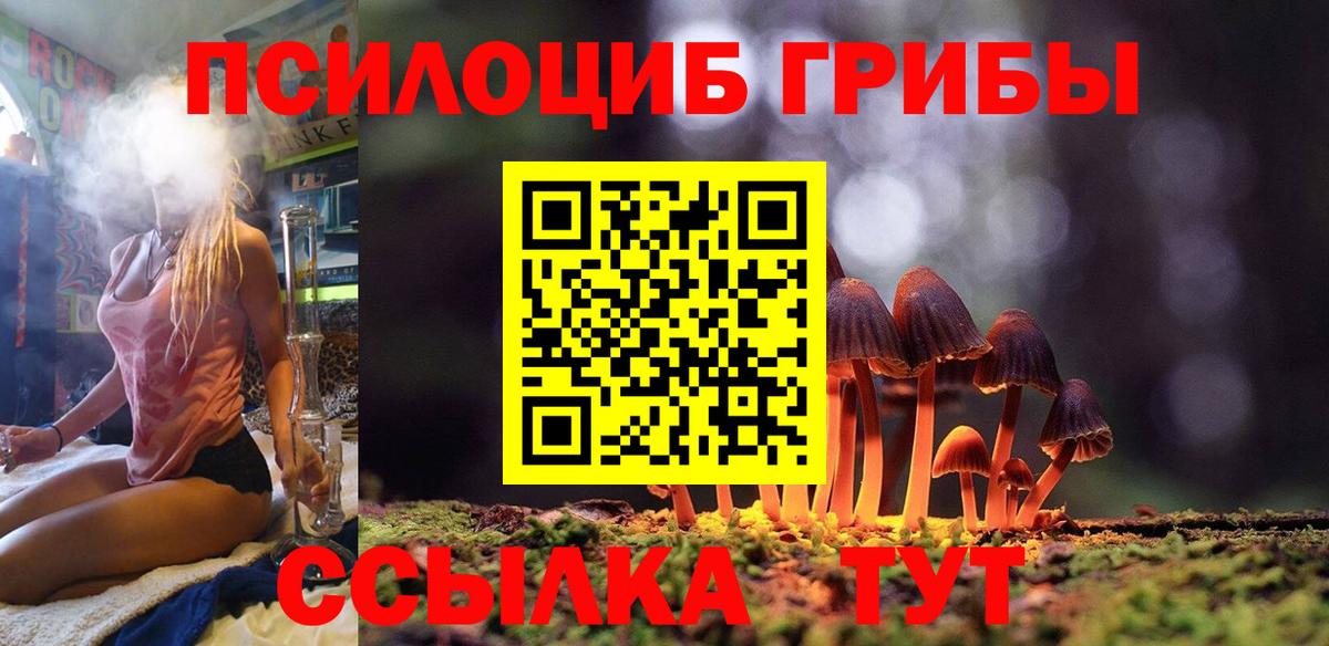 Галлюциногенные грибы Psilocybine cubensis Кстово